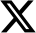 X (Twitter)